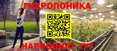 спайс Гусь-Хрустальный