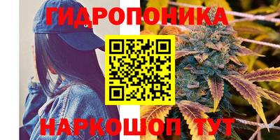 спайс Гусь-Хрустальный