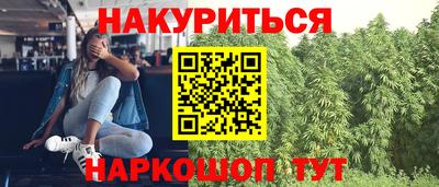 прущие крисы Гусиноозёрск