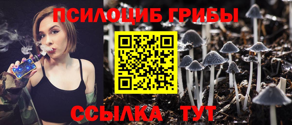 Новошахтинск  Псилоцибиновые грибы Magic Shrooms  Псилоцибиновые грибы Psilocybe  Вход с VPN 