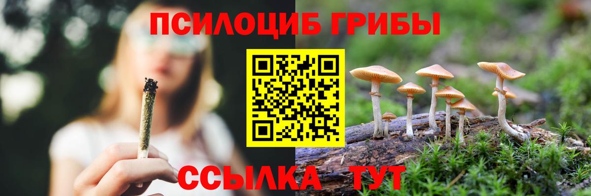 Псилоцибиновые грибы GOLDEN TEACHER Новошахтинск
